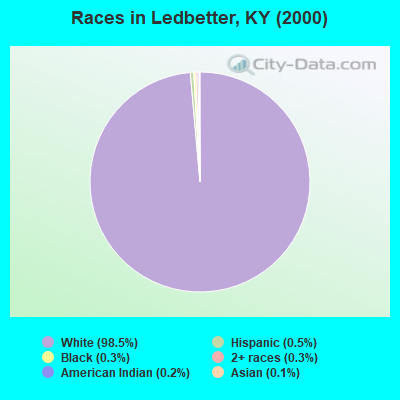Races in Ledbetter, KY (2000)