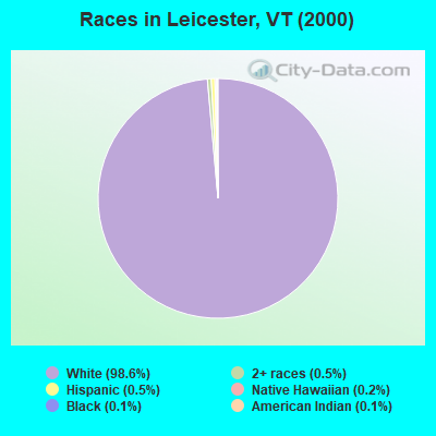 Races in Leicester, VT (2000)