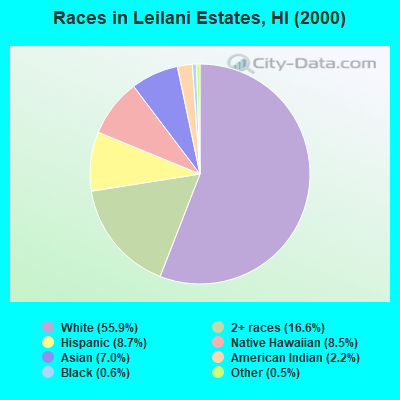 Races in Leilani Estates, HI (2000)