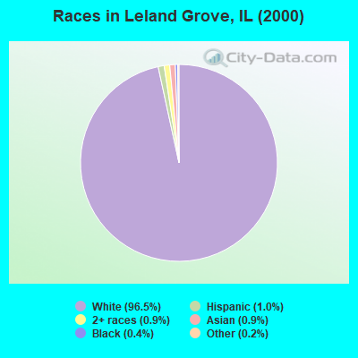 Races in Leland Grove, IL (2000)