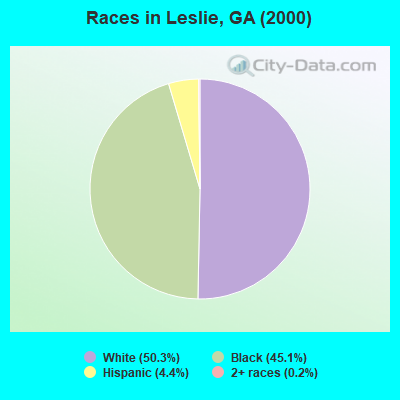 Races in Leslie, GA (2000)
