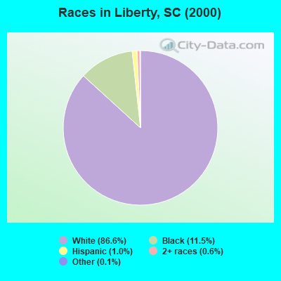 Races in Liberty, SC (2000)