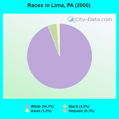 Races in Lima, PA (2000)