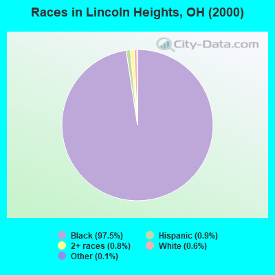 Races in Lincoln Heights, OH (2000)