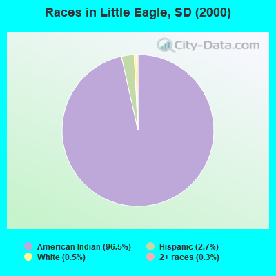 Races in Little Eagle, SD (2000)