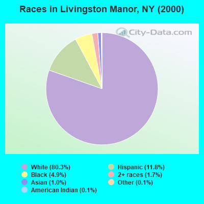 Races in Livingston Manor, NY (2000)