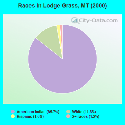 Races in Lodge Grass, MT (2000)