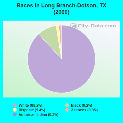 Races in Long Branch-Dotson, TX (2000)