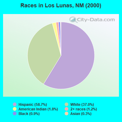 Races in Los Lunas, NM (2000)