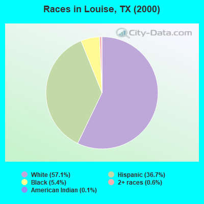 Races in Louise, TX (2000)