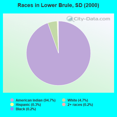 Races in Lower Brule, SD (2000)