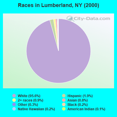 Races in Lumberland, NY (2000)