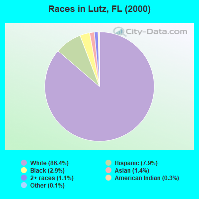 Races in Lutz, FL (2000)