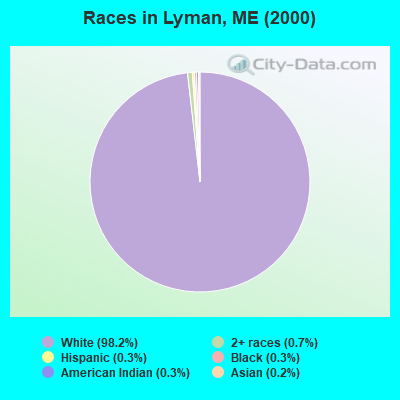 Races in Lyman, ME (2000)