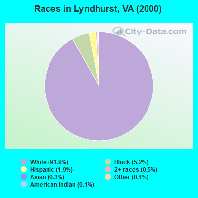 Races in Lyndhurst, VA (2000)
