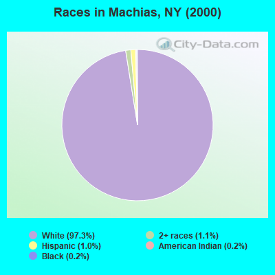 Races in Machias, NY (2000)