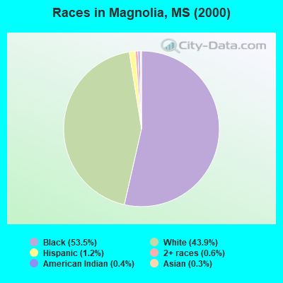 Races in Magnolia, MS (2000)