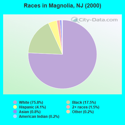 Races in Magnolia, NJ (2000)