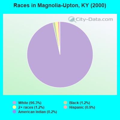 Races in Magnolia-Upton, KY (2000)