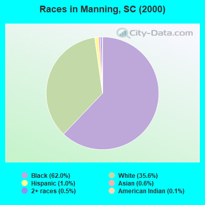 Races in Manning, SC (2000)