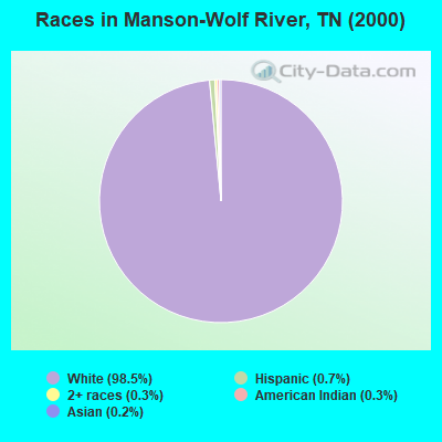 Races in Manson-Wolf River, TN (2000)