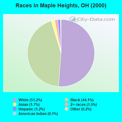 Races in Maple Heights, OH (2000)