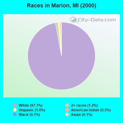 Races in Marion, MI (2000)