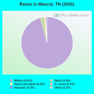 Races in Mascot, TN (2000)