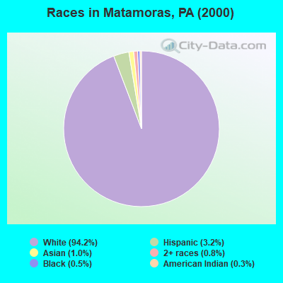 Races in Matamoras, PA (2000)