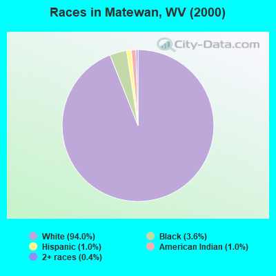 Races in Matewan, WV (2000)