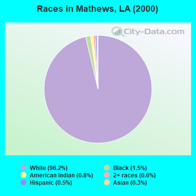 Races in Mathews, LA (2000)