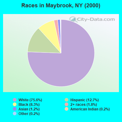 Races in Maybrook, NY (2000)