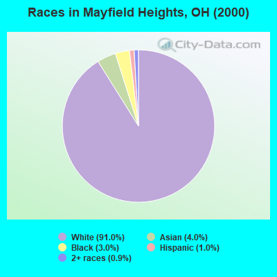 Races in Mayfield Heights, OH (2000)