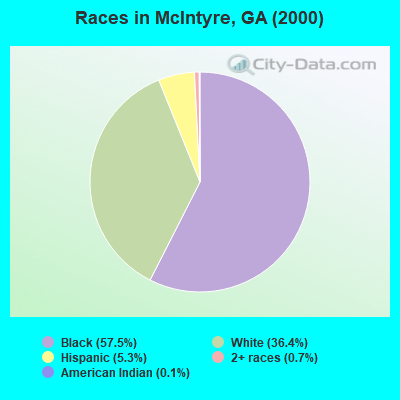 Races in McIntyre, GA (2000)