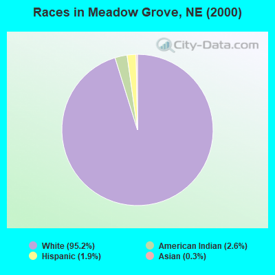 Races in Meadow Grove, NE (2000)
