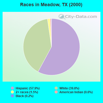 Races in Meadow, TX (2000)