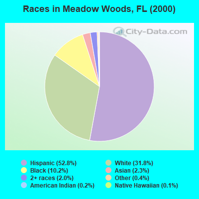 Races in Meadow Woods, FL (2000)