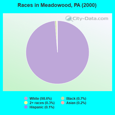Races in Meadowood, PA (2000)
