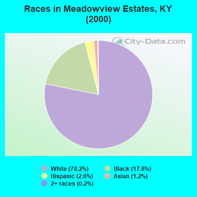 Races in Meadowview Estates, KY (2000)