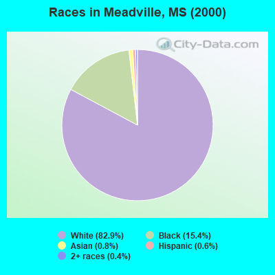 Races in Meadville, MS (2000)