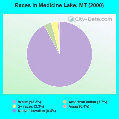 Races in Medicine Lake, MT (2000)