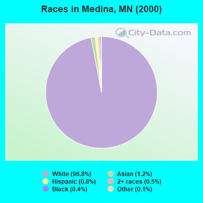 Races in Medina, MN (2000)