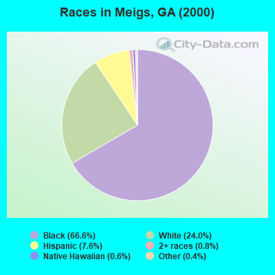 Races in Meigs, GA (2000)