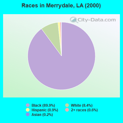 Races in Merrydale, LA (2000)