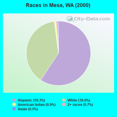 Races in Mesa, WA (2000)