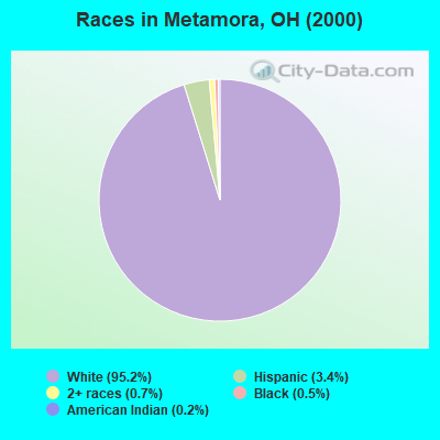 Races in Metamora, OH (2000)