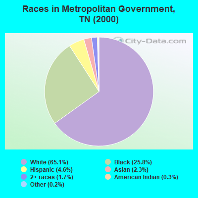Races in Metropolitan Government, TN (2000)