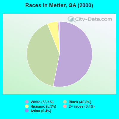 Races in Metter, GA (2000)