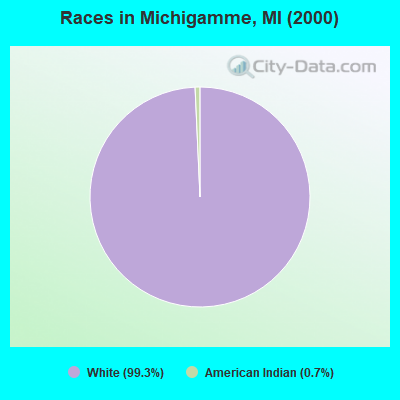 Races in Michigamme, MI (2000)