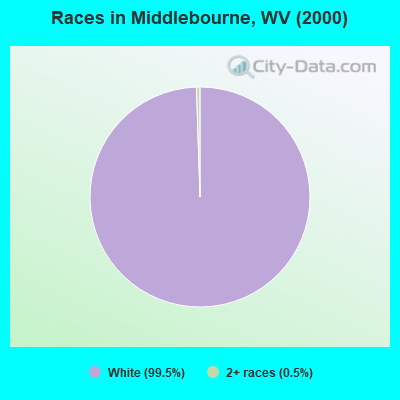Races in Middlebourne, WV (2000)